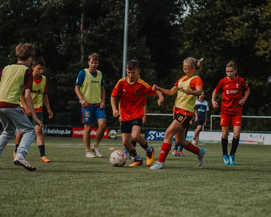 Foto's zomer 2026 online! 